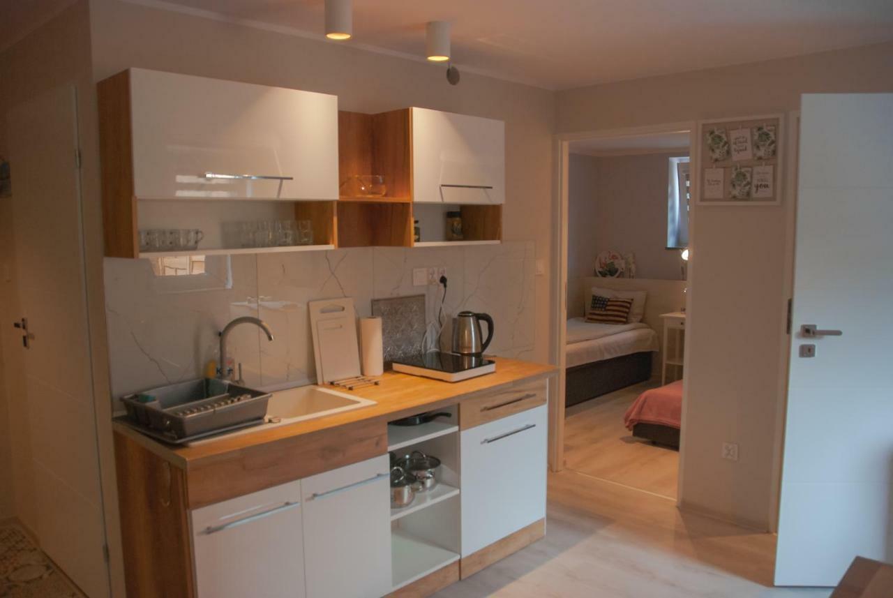 Noclegi "Boczna 5A" Apartamenty Goscinne Szczawno-Zdroj Extérieur photo